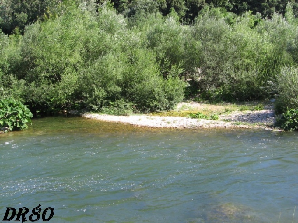 Zona di interesse erpetologico...e non solo!!!